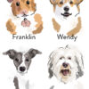 Bundle names 8