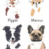 Bundle names 1