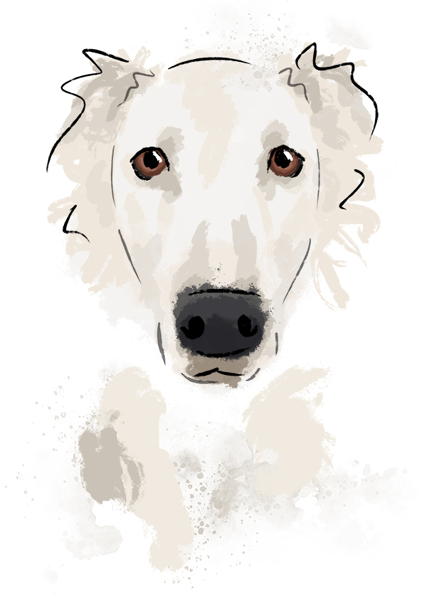 Gretchen the Borzoi