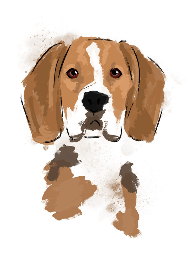 Boris the Beagle