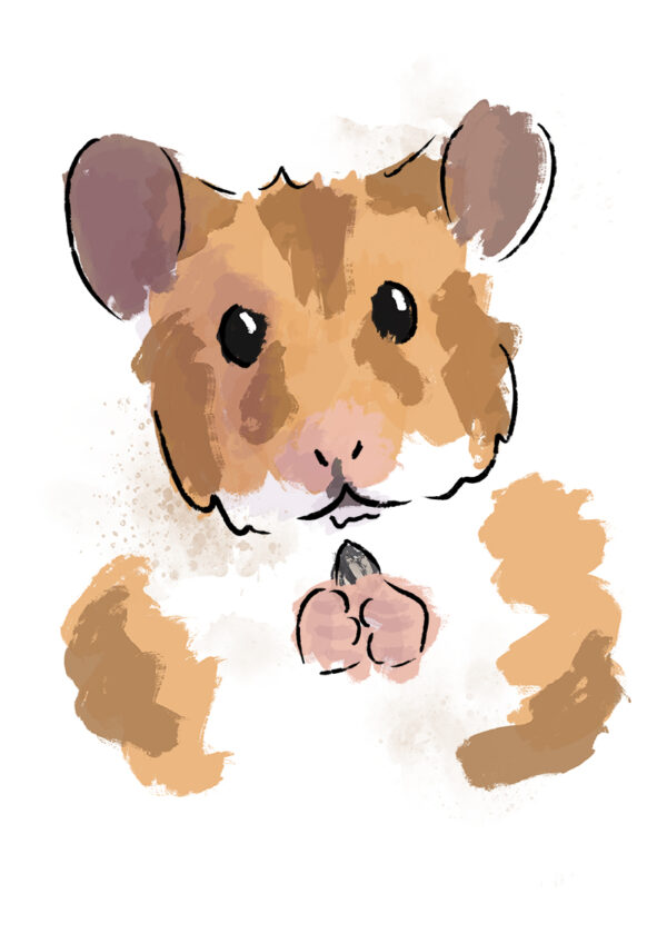 Franklin the Hamster