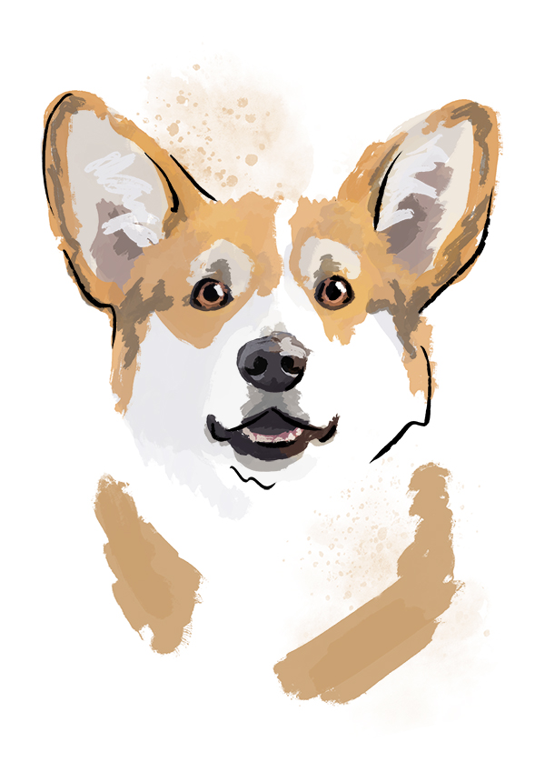 Wendy the Corgi