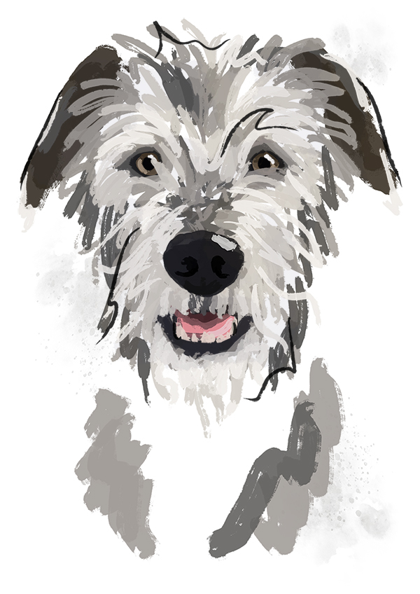 Hilda the Irish Wolfhound