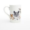 Small pets mug
