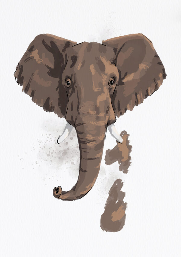 Elephant Elephant