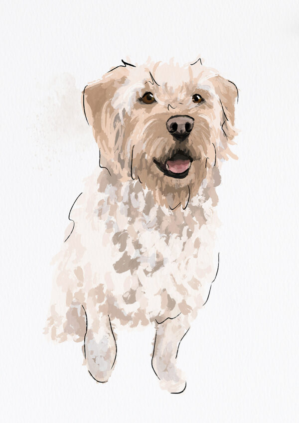 Labradoodle Labradoodle